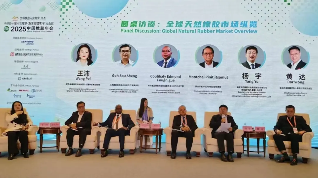 杨宇受邀出席2025中国开云电子年会