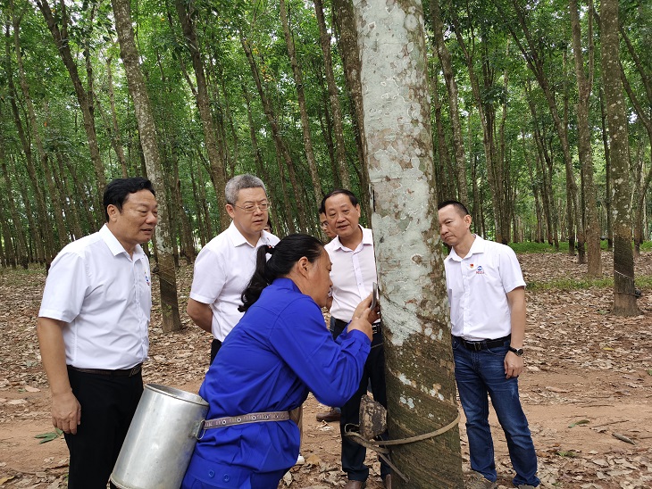 开云电子·kaiyun(中国游)官方网站