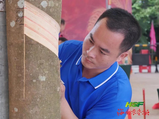 开云电子·kaiyun(中国游)官方网站