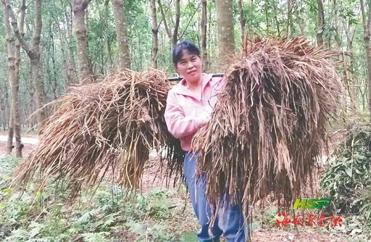 开云电子·kaiyun(中国游)官方网站