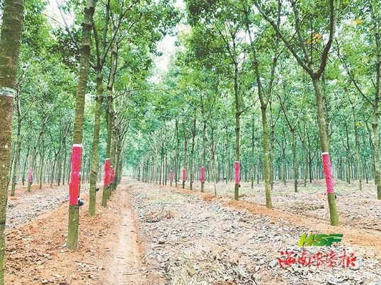 开云电子·kaiyun(中国游)官方网站
