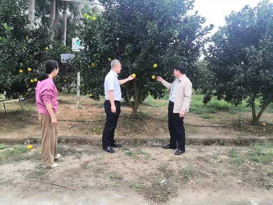 开云电子·kaiyun(中国游)官方网站