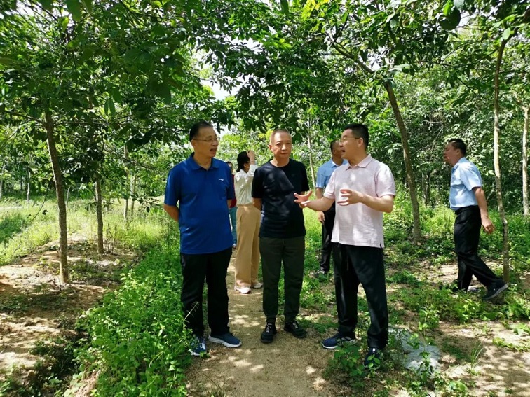 开云电子·kaiyun(中国游)官方网站