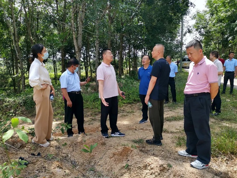 开云电子·kaiyun(中国游)官方网站