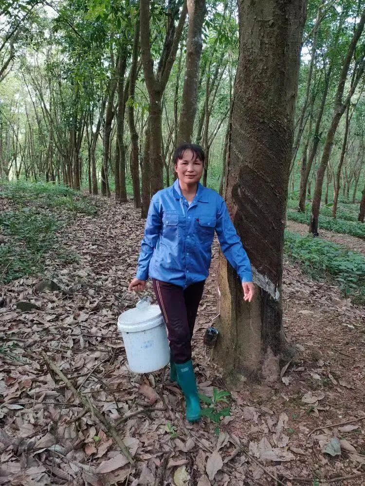 开云电子·kaiyun(中国游)官方网站