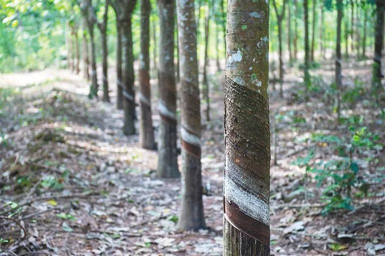 开云电子·kaiyun(中国游)官方网站