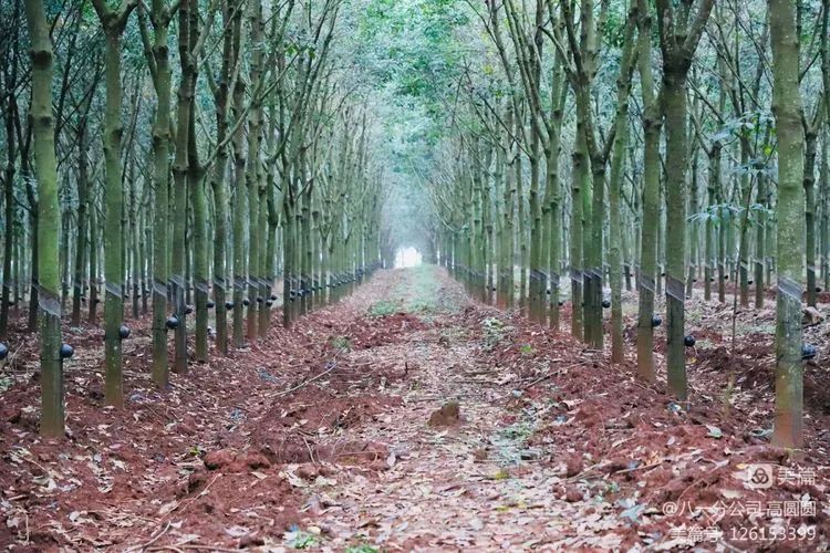 开云电子·kaiyun(中国游)官方网站